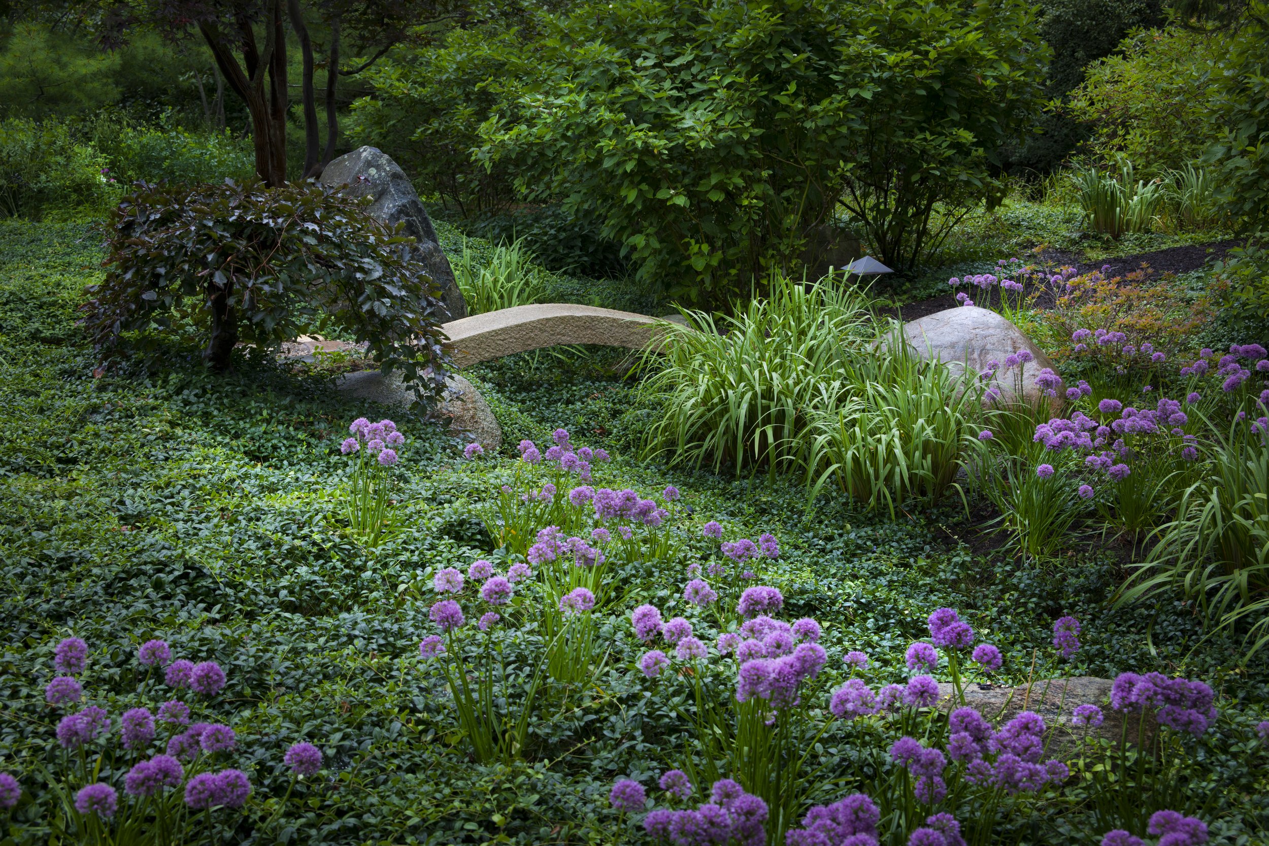 ☘️aiiKEN73*Garden☘️AG202605 flora — aguafina gardens international